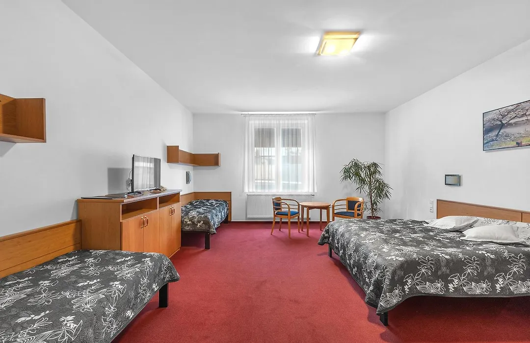 Hotel Za Vodou-1